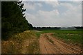 Field entrance near Chamberlain's Buildings Farm in IP27 9BJ