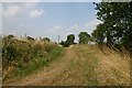 Footpath to Eriswell in IP27 9BH