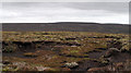 Peat banks of heather moorland on Carrs Hill in DL12 0QY