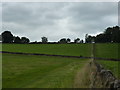 Footpath to Chevin Mount in DE56 2UP