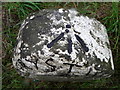 Rivet bench mark, Pont Creuddyn in SA48 8PY