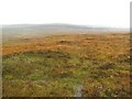 Moorland, Glenmore in IV51 9LN