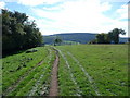 Footpath and track on Clunton Hill in SY7 0JF