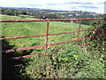 View through gateway from minor road north of Wooth in DT6 5LE