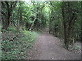 Woods below Gravelly Hill in CR3 6EG
