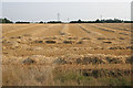 Harvested field in NG32 3LN
