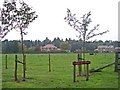View across farmland at Blagdon Estate in NE13 6DB