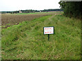 Uncultivated field margin in Henstead with Hulver Street