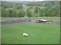 Looking out from Pentacota in Dolgellau Community