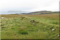 Wall remains on moorland at Ullinish Point in IV56 8FD