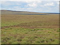 Panorama of Willyshaw Rigg (1: N) in CA9 3NQ