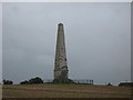 The Bilsington Monument in TN26 2PD