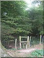 Stile beside Horn's Wood in TN26 2PD
