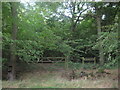 Gate and stile beside Hodge's Wood in TN25 7JR