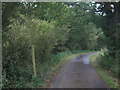 Footpath crosses Swanton Lane in TN25 7JR