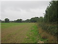 Footpath to Brisley Lane in TN25 7JB