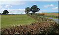 Edge of a field adjacent to bends in Usk Road in Sir Fynwy - Monmouthshire