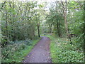 Path through woodland, Consett in DH8 6NQ