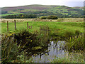 Drainage ditch and rough pasture, Dyffryn Dysynni in LL36 9RG