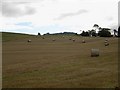 Round bales, Blebo Mains in KY15 5UA