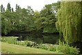 Duck Pond in Lathom