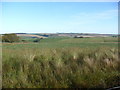 Farmland, Greeness in AB53 8JL