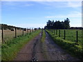 Track to Castlehill Farm in AB53 8HX