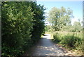 Footpath in Leybourne Lakes Country Park in ME6 5JY