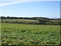 Farmland near South Thornhill in AB53 8HS