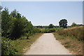 Gravel track, Leybourne Lakes Country Park in ME6 5JY