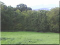 Looking down the hill to Higher Jan's Hill Coppice in DT6 5NW