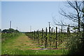 Footpath off Chaffe's Lane across orchards in ME9 7HP