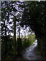Footpath to Hanging Hill Lane & Church Lane in CM13 2RF