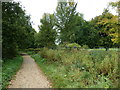 Bridge from the Garnier Road footpath to Winchester College in SO23 9NP