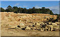 Bognor Common quarry (1) in RH20 1JY