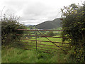 Gate and field above Trewern in SY21 8TE