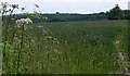 Farmland south of Loughborough in LE11 2UT