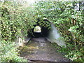 The path goes under the Leeds Ringroad at Meanwood in LS17 5LS