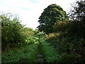 The Dales Way goes past the farm and down the path in LS17 7UZ