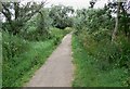 Path across the Aylestone Meadows in LE3 2EW
