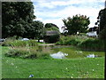 Village pond at Aldbourne, Wilts. in SN8 2EN