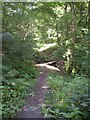 Footbridge in Wood Fall, Shelf in HX3 7NX