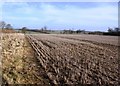 Stubble field, New Hayward Farm in RG17 0PL