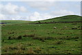 Sheep grazing below The Hile in OL13 8NB