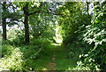 Footpath to Hever Rd in TN8 7NN