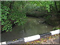 Coster's Brook under the road to Dunford House in GU29 9QH