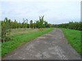 Driveway to The Bungalow and Far Longdon Farm in GL56 9RB