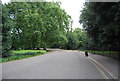 Battersea Park - East Carriageway Drive in SW1V 3BY