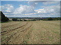 Navestock Heath Walk in Navestock