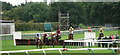 'Safely over the last', A hurdle race at Fontwell in PO20 3RX